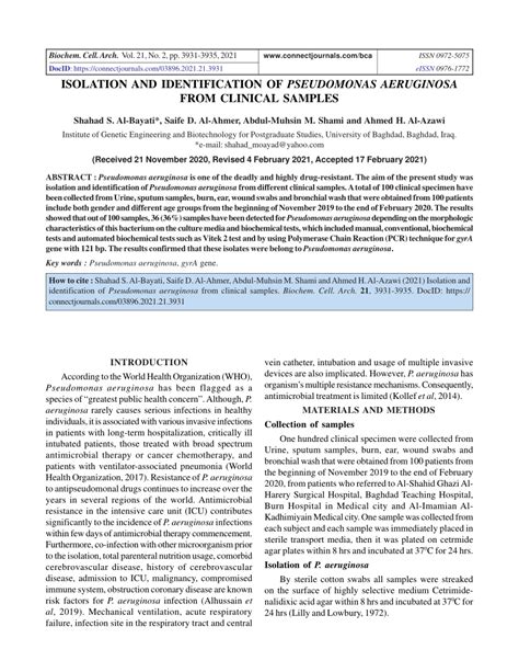 Isolation and identification of P. aeruginosa.